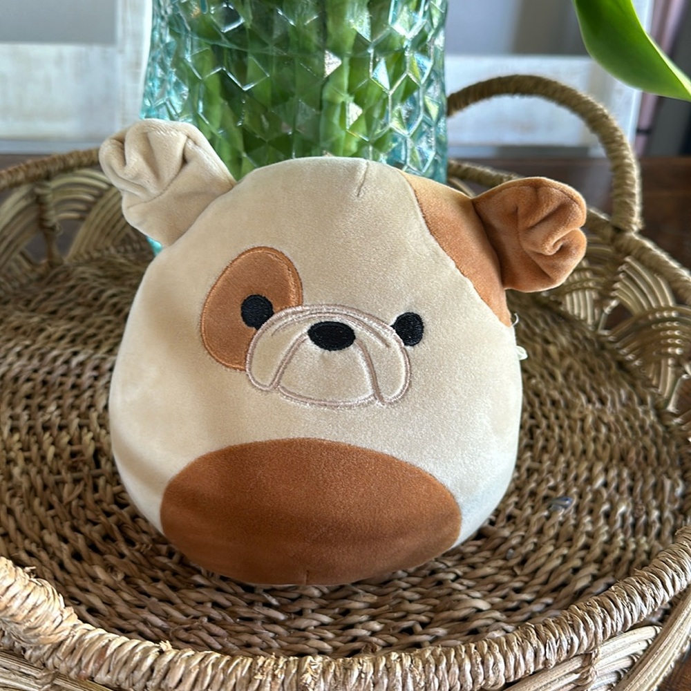 Squishmallows Bulldog 6 inches